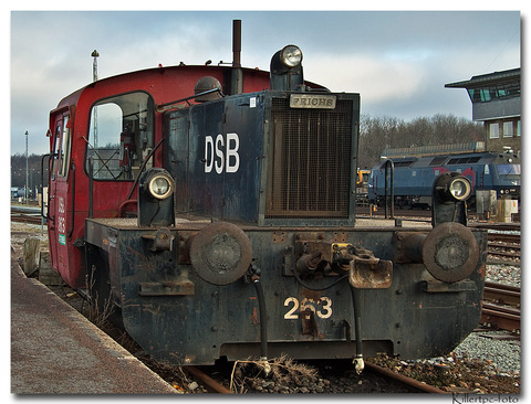DSB-1