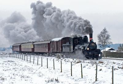 Vintertog