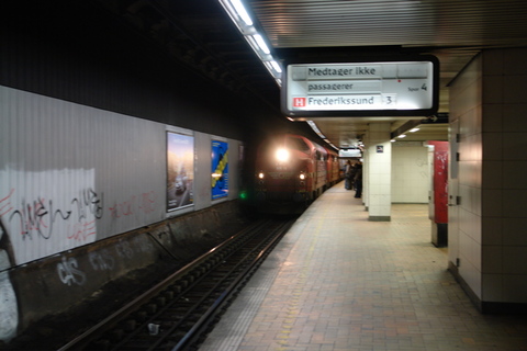 Staalormen_2