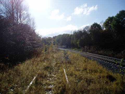 PA300935