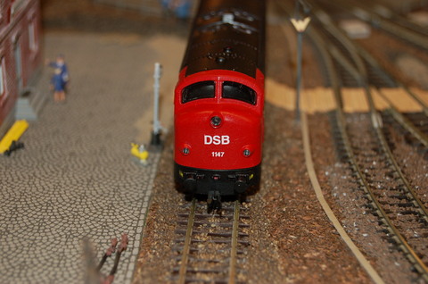 DSC_0551
