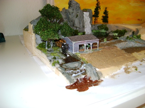 DSC03556d