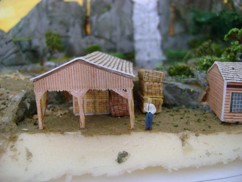 DSC03654d